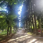 Sonja *