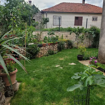 Sonja 公寓 特雷比涅