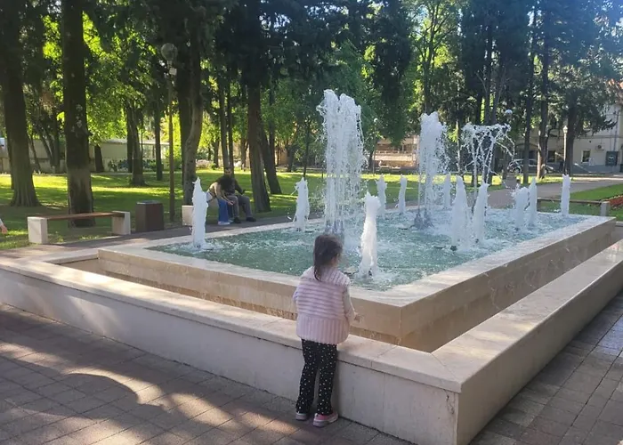 Sonja Требинье