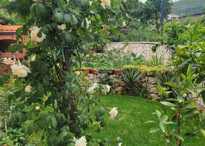 Sonja Требинье