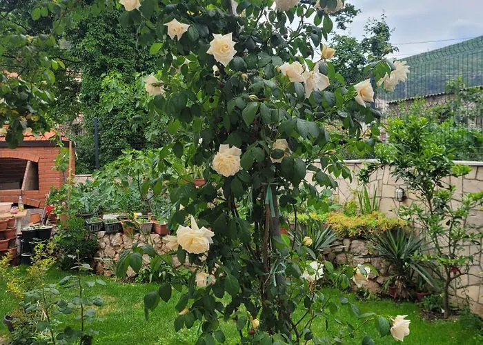 Sonja Апартаменты Требинье